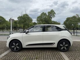 DONGFENG NAMMI 01
